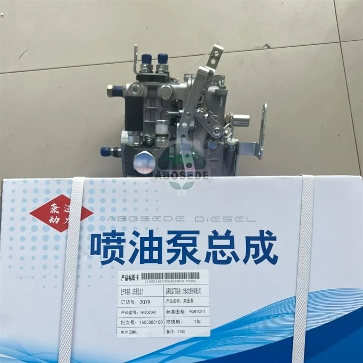 KANGDA 2Q70 / BH2Q85R8 In-Line Fuel Pump For Jiangdong 2110 factory